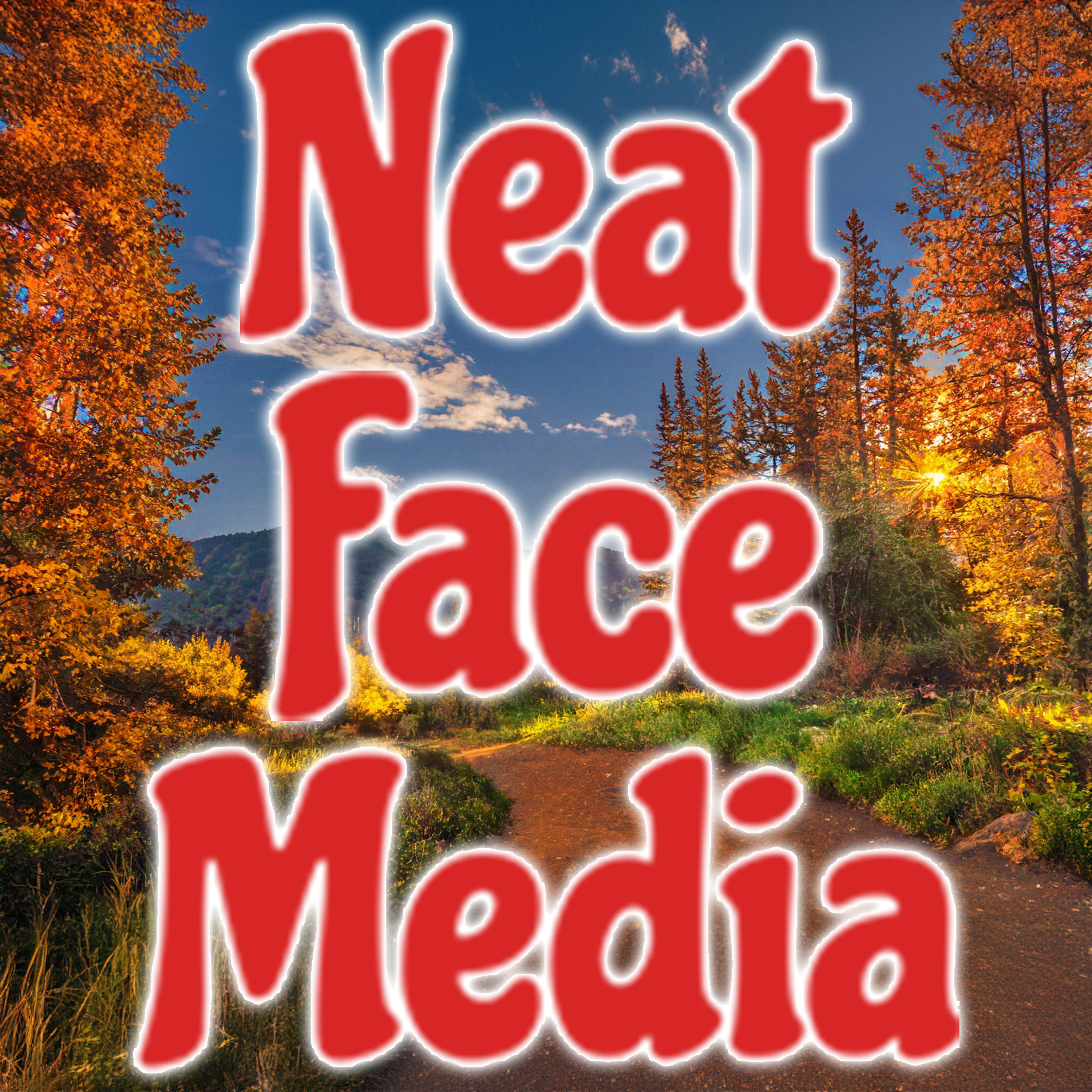 Neat Face Media banner